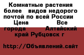 Комнатные растения более200видов недорого почтой по всей России › Цена ­ 100-500 - Все города  »    . Алтайский край,Рубцовск г.